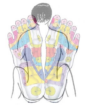 足裏は全身に投影